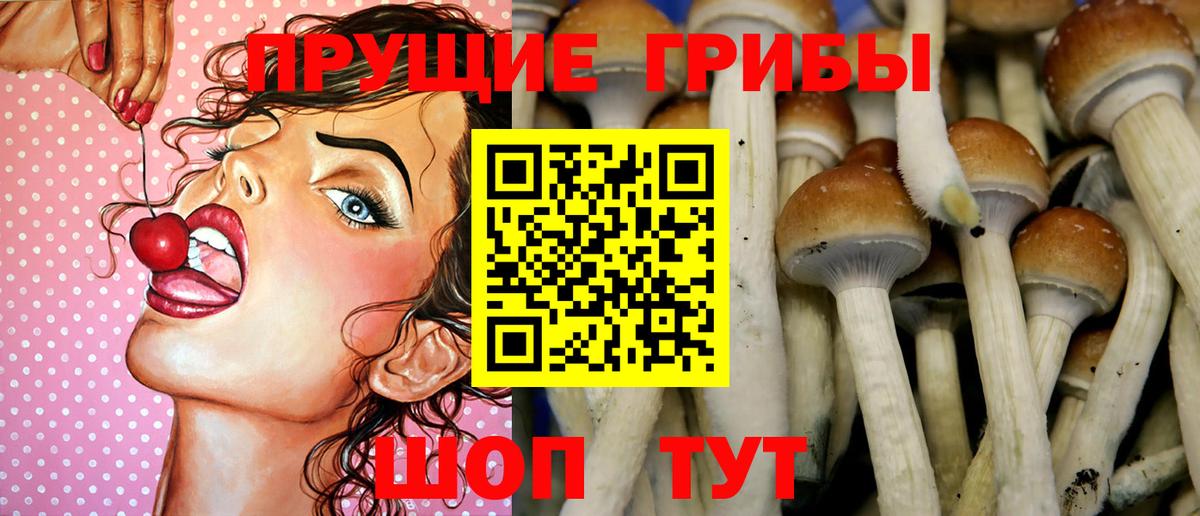Дедовск  Галлюциногенные грибы мухоморы  Псилоцибиновые грибы Psilocybine cubensis  Вход с VPN 